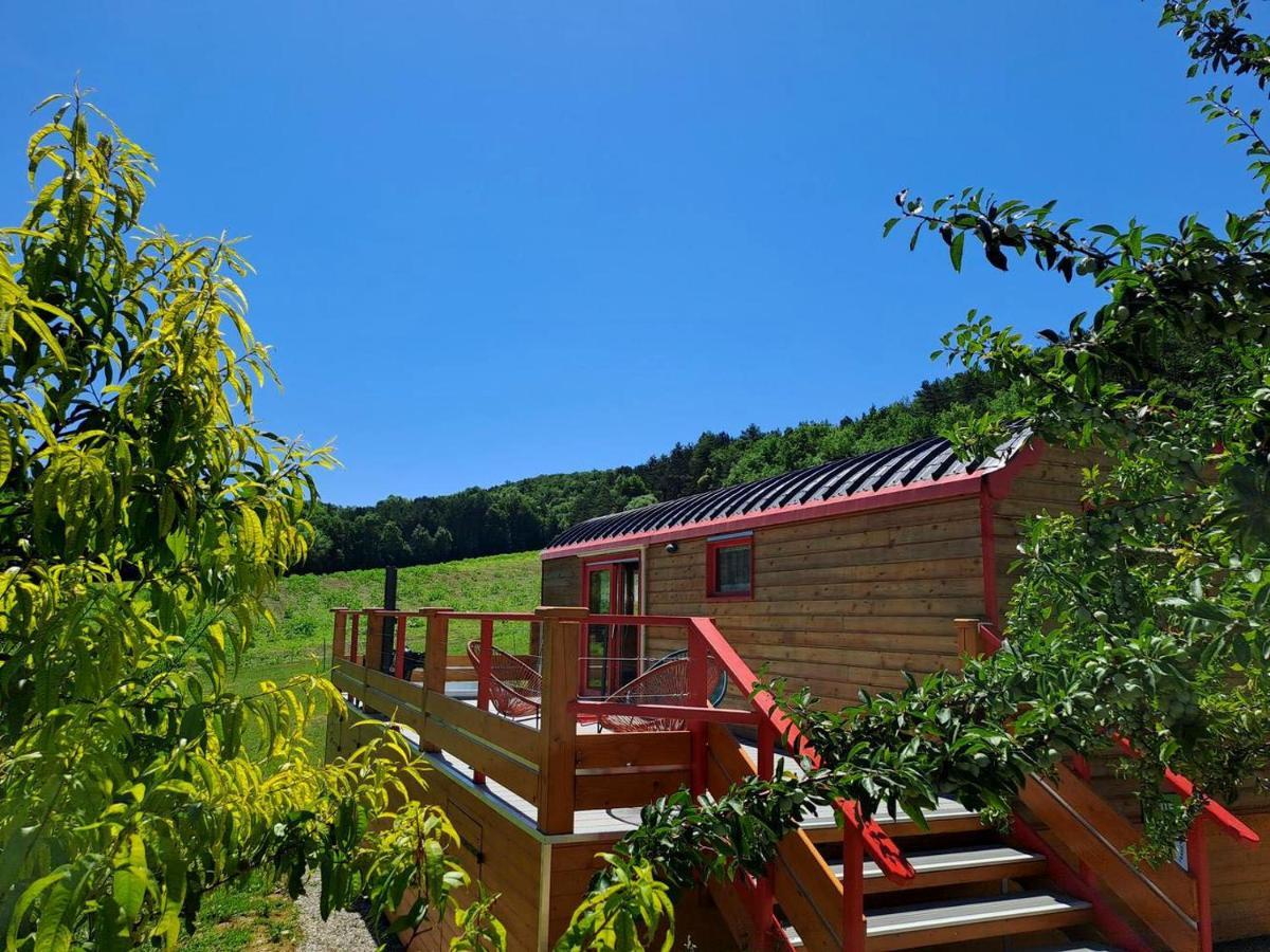 La Roulotte Du Tonnelier Villa Castelnau-de-Montmiral Eksteriør billede